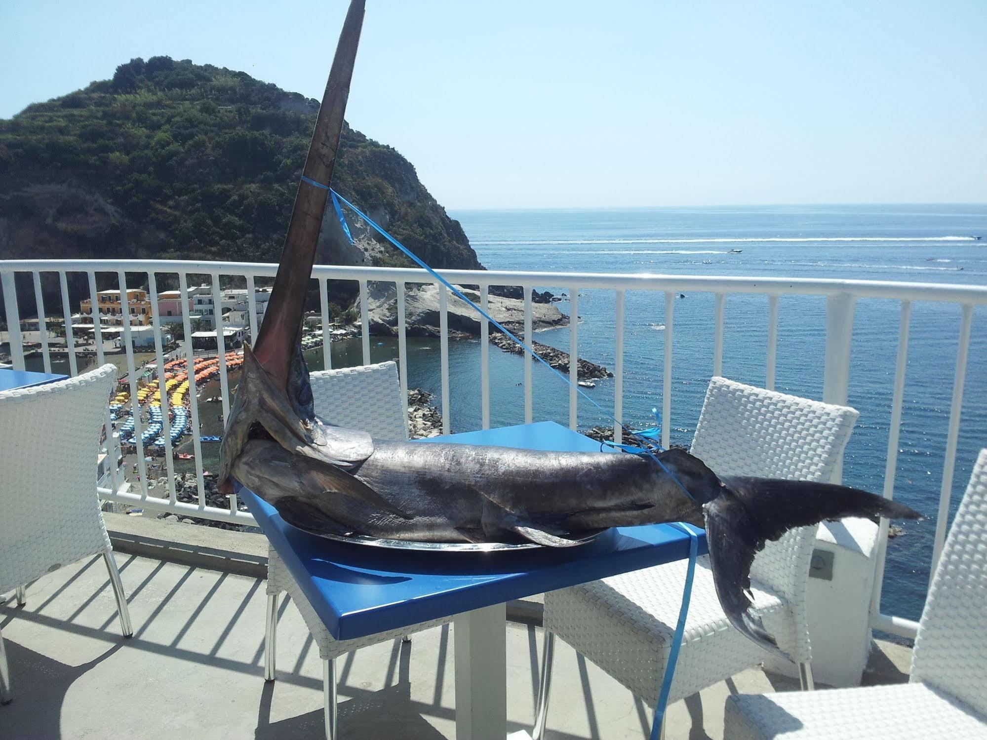 Hotel Villa Sirena Sant'Angelo  Eksteriør billede